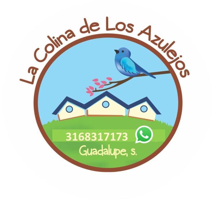 Hotel La Colina De Los Azulejos Guadalupe エクステリア 写真