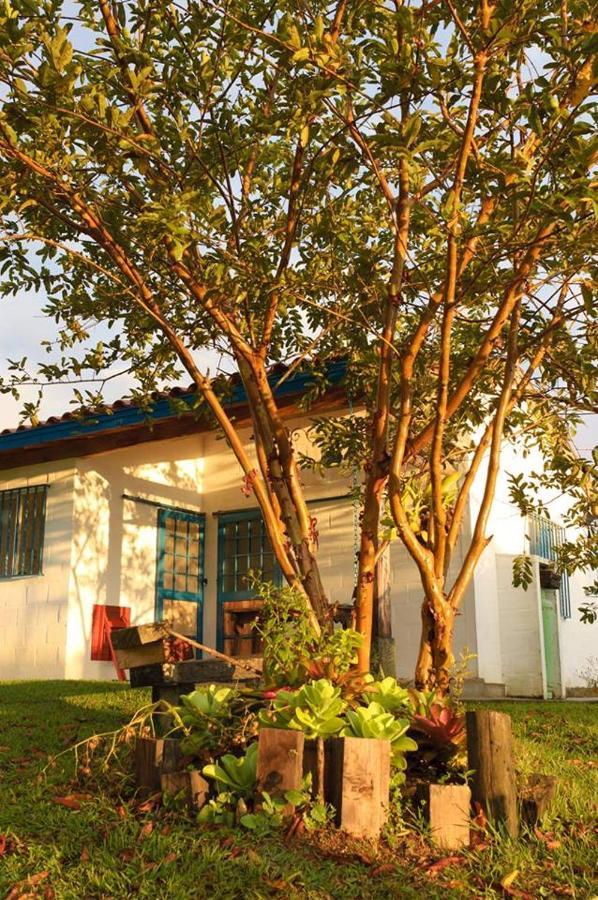 Hotel La Colina De Los Azulejos Guadalupe エクステリア 写真